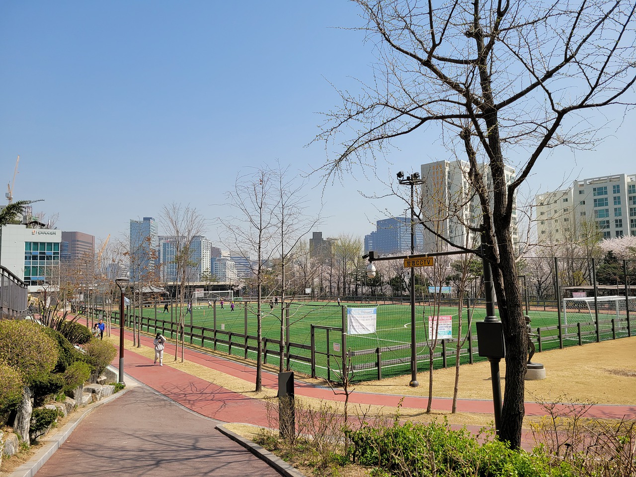 他带领球队 他带领球队