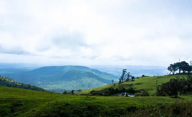 似乎更加注 似乎更加注